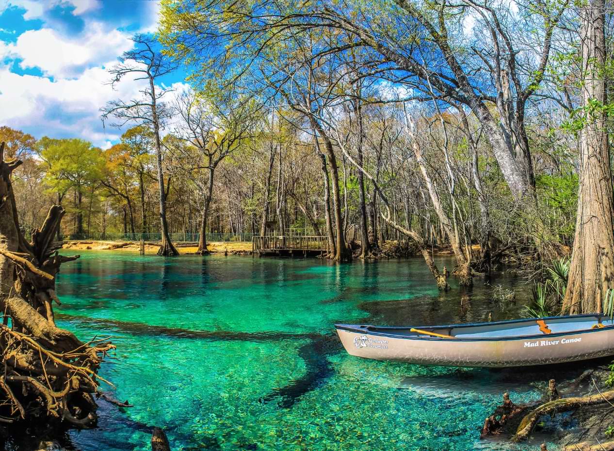 Things To Do Coldwater Excursions
